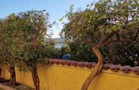 Blu Caletta - waterfront apartment with garden - Foto 20