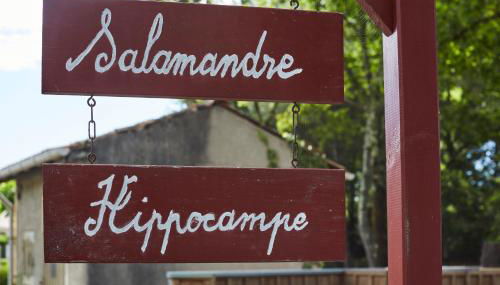 Salamandre et Hippocampe - Foto 3