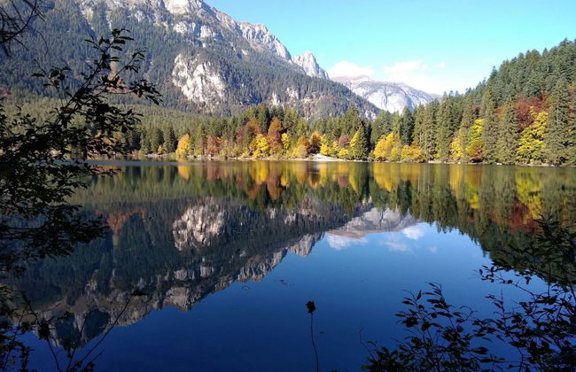 Horse House - Foto 59