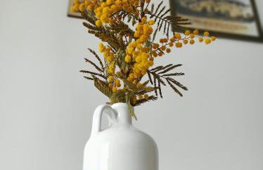 Sun Max- Appartamento vicino al mare per famiglie - Foto 2