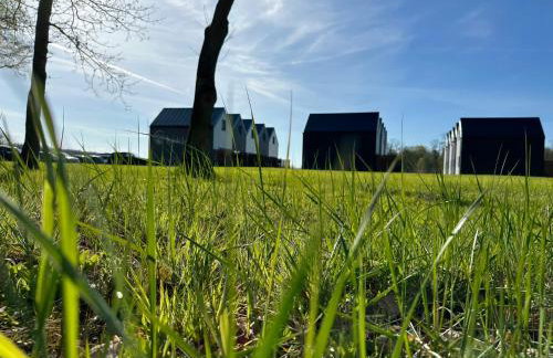 Morski Las - Foto 38