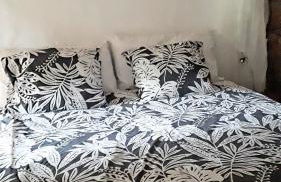 Finca La Principal - Foto 106