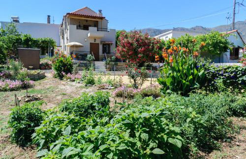 Casa Vasilia Traditional Home - Photo 34