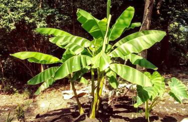 Cozy Wood Shed Tiny House Near Old Hickory Lake w/ Full Kitchen, Fire Pit & Breakfast - Foto 40