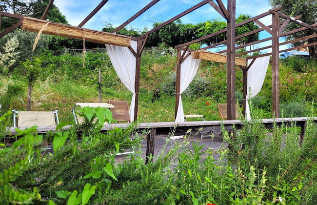 Agriturismo I Pitti - Foto 64