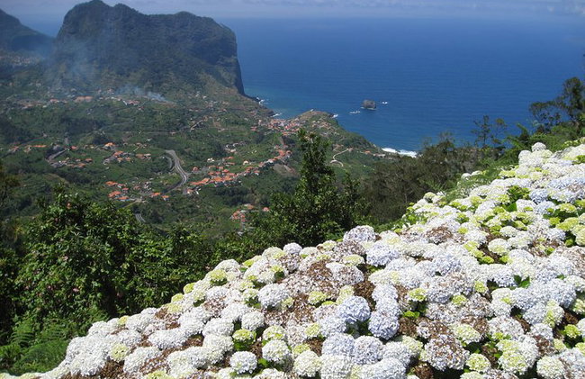 Caminata de 2 horas en Referta / Castelejo en la costa norte de Madeira - Foto 1