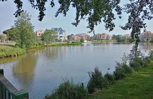 Charmant T2 au coeur du golf de port Bourgenay - Foto 50