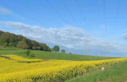 Ferienwohnung Kirchberg Uettingen - Foto 19