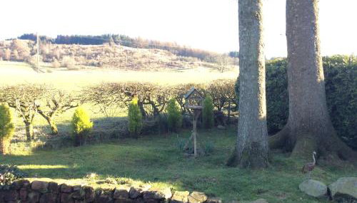 Heron Lodge, edge of Mabie Forest Dumfries - Foto 3