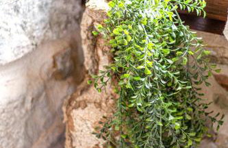 True Colors Apartments Split - Photo 7