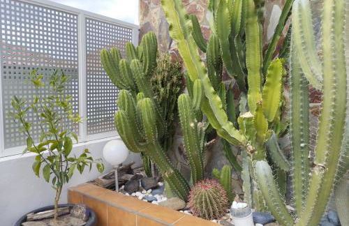 BellaVista DM private pool - Foto 32