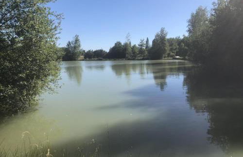Gîte rustique à Cheverny: nature, tennis, animaux bienvenus, pêche et châteaux de la Loire à proximité - FR-1-491-366 - Foto 12