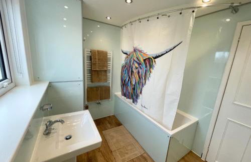 Shepherd Moon - Foto 6