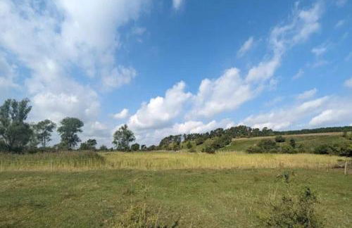 Wohnung in Lütow nahe Ostseestrand - Foto 31