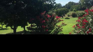 Villa santa karina - Foto 4, Garden view