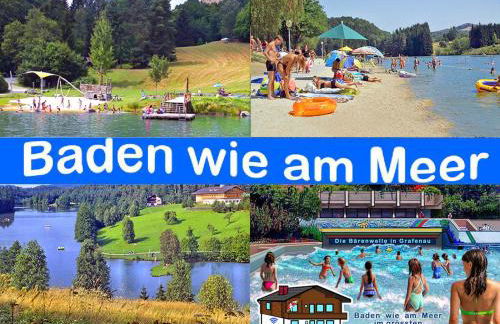 BayerischerWald-Ferien-Blockhaus-Panoramablick-Grafenau Haus im Wald-Vogelthenne 19, fast Alleinlage-ILZtal-Blick nähe Rothauer, Saldenburger, Ebenreuther und Eginger See im Dreiburgenland, unweit der Dreiflüße-Stadt PASSAU an der Donau Inn und ILZ - Foto 40