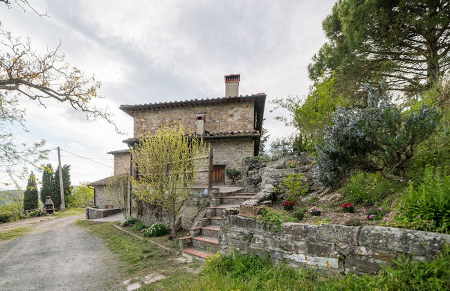 Fattoria di Cintoia - Photo 68