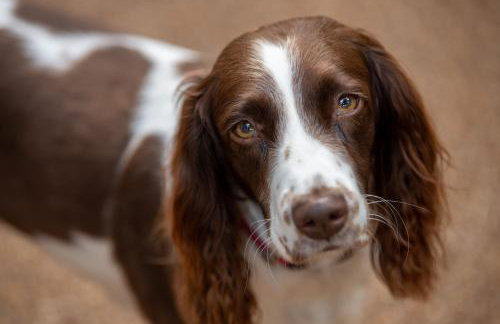 Lower Arthur's Cottage in Saddleworth, Manchester - Foto 16