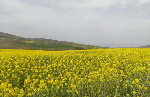 El rincón de Soto - Foto 43