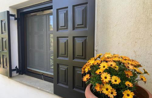 Pelion 7 Lives - Foto 67