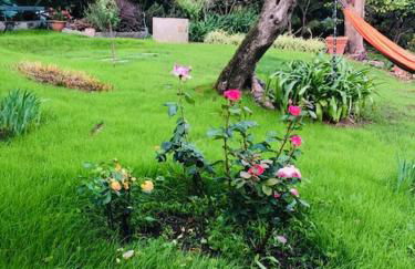 Romantic garden sea view Nervi - Foto 29