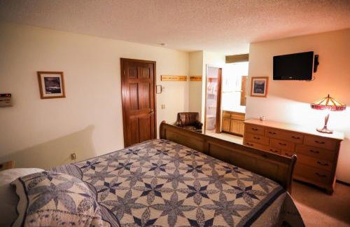 Updated Mammoth condo on Red line - Photo 8