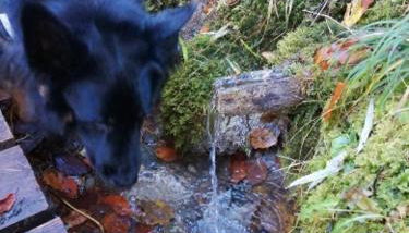 Piccola mansarda nelle Dolomiti - Foto 5