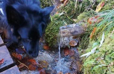 Piccola mansarda nelle Dolomiti - Photo 5