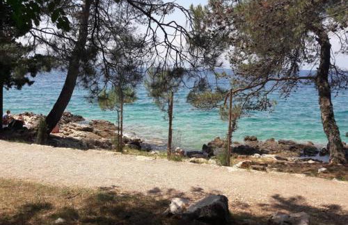 APARTMENT- Family Studio - Foto 22