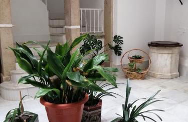 Candelaria cornerflat - Foto 11