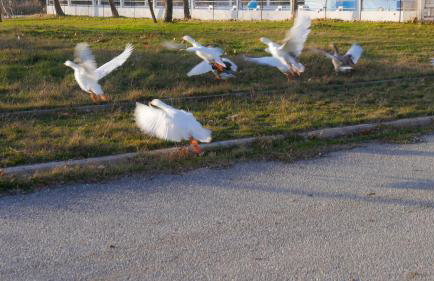 Thrassa Hotel - Foto 25