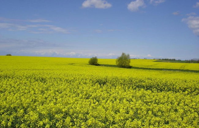 Smart Apartment in Wendelstorf near Sea Beach - Foto 35