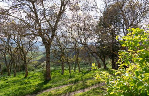 Dimora Storica Dei Nelson - Foto 13