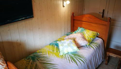 La canopée - Foto 3