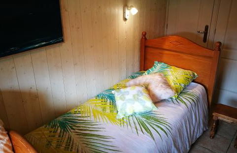 La canopée - Foto 3