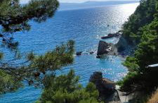 Rift Luxury Apartments - Photo 61