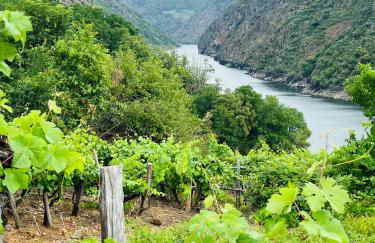 Chulavista House by Kev - Foto 23