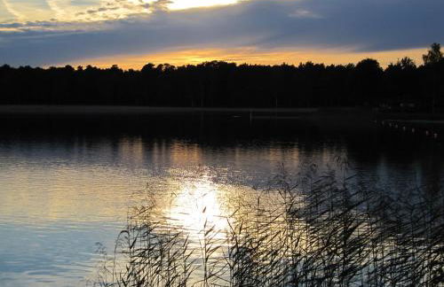 Erlengrund 31 - Foto 19