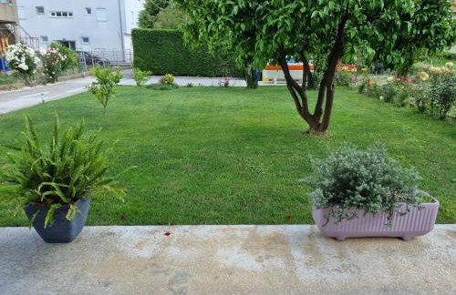 Apartman Galov - Foto 23