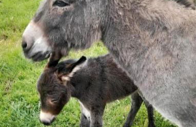 FeWo Lena - Photo 12