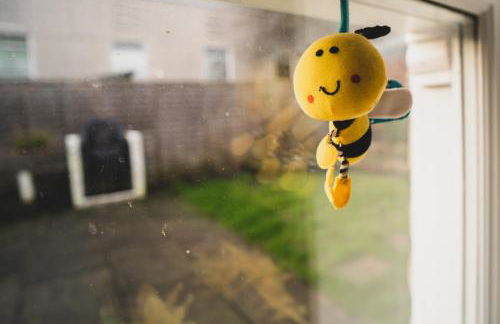 The Torrs - Photo 27