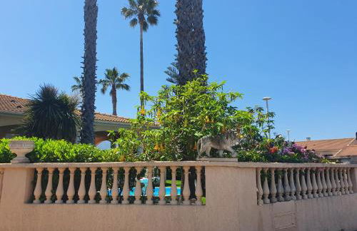 Villa les palmiers -Stretta di i mandarini - Foto 31