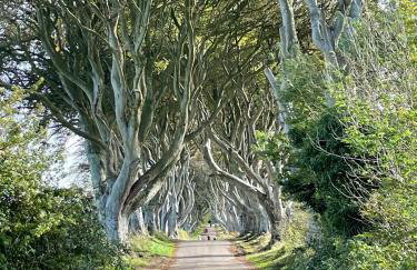 Loughview Lodge - Foto 56