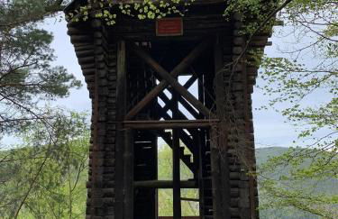 Dicker Stein - Foto 33