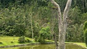 Fazenda Monte Sinai - Foto 5