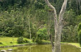 Fazenda Monte Sinai - Photo 5