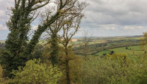 Scenic Views - Foto 2