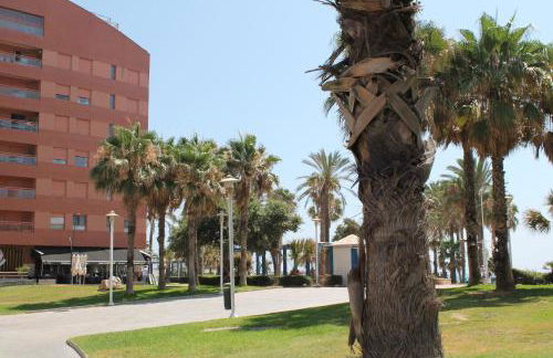 PACIFICO 18 - Photo 13