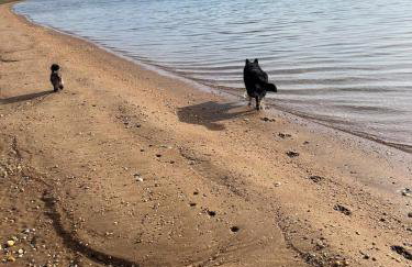 Waterfront paradise - Foto 25