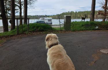 Sonnenpark 44 - Foto 36